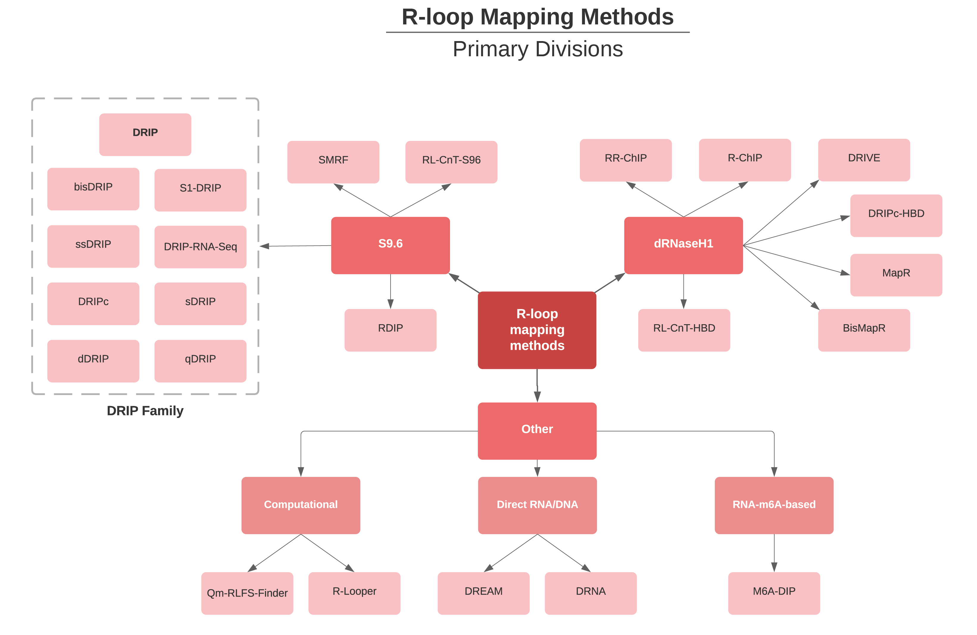 Diagram showing the different R-loop mapping methods which exist. All of these are found in RLBase (except computational methods, SMRF-Seq, and bisDRIP-Seq).